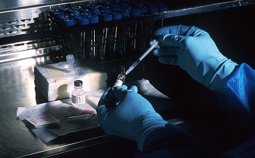 HIVAids drug trial South Africa  HIV Aids, National Institute of Allergy and Infectious Diseases