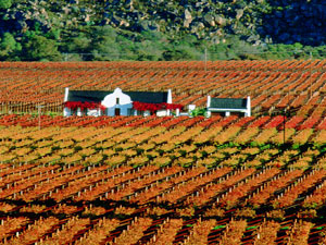 A Cape Dutch style farmhouse in the Western Cape's Hex River Valley