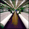 BMD textile factory in Cape Town, Western Cape