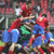 Serbian fan uses World Cup to propose