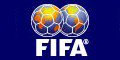Go to Fifa's 2010 World Cup web page