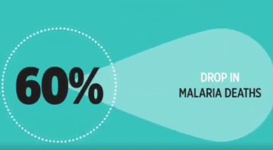 Malaria deaths drop
