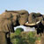 Wildlife and wilderness in South Africa