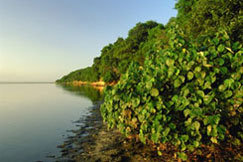 iSimangaliso: South Africa's coastal jewel iSimangaliso: South Africa's coastal jewel