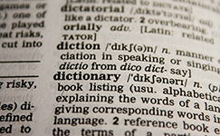 Dictionary words dictionary, south african words