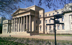 Wits University, dinosaur, Wits University, dinosaur, Pulanesaurus eocollum, Rain lizard, Blair 
McPhee, the PhD student