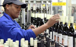 Sesfikile winemaker 