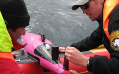 SA ocean gliders tackle climate change SA ocean gliders tackle climate change