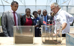 South Africa demonstrates algae-to-energy technology 