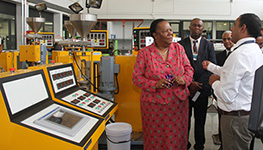 naledi pandor at csir south africa, science, technology, naledi pandor, csir, dti, nanomaterial naledi pandor at csir south africa, science, technology, naledi pandor, csir, dti, nanomaterial