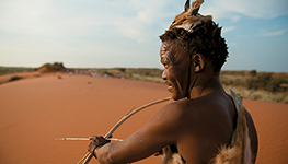dna khoi-san   south africa, racism, anti-racism, human race, khoi-san