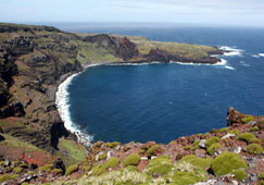 SA declares first offshore protected area SA declares first offshore protected area