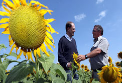 Unilever SA in sunflower partnership Unilever SA in sunflower partnership