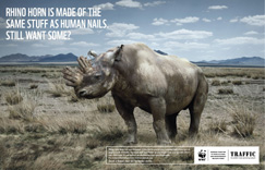 South Africa to widen measures against rhino poaching 