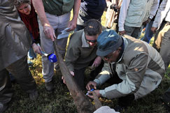 SA, Laos to sign rhino protection pact 