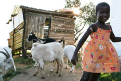 Helping the SA Diaspora to give back 