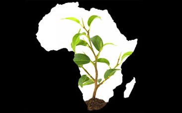 Tech hub to grow African entrepreneurs