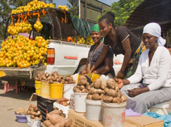 Informal trader informal market, informal trader, meat trader, food seller, flea 
market, food security