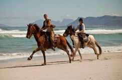 Gansbaai gansbaai, shark cage diving, responsible tourism awards