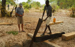 Kiaat pit saw traffic, timber, logging, illegal 
trade, poaching, namibia, angola, zambia, kiaat, forestry, sasscal