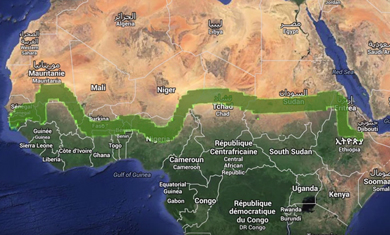 Green Wall Map