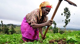 African agriculture methods Calestous Juma, WEF Africa, science and technology, agriculture African agriculture methods Calestous Juma, WEF Africa, science and technology, agriculture