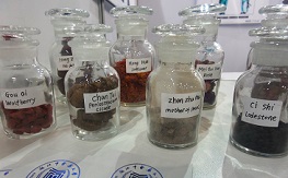  herbs, medicinal use, exhibition