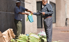 entrepreneurs, awethu project, 