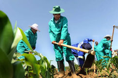 Developing Mpumalanga's farmers Developing Mpumalanga's farmers