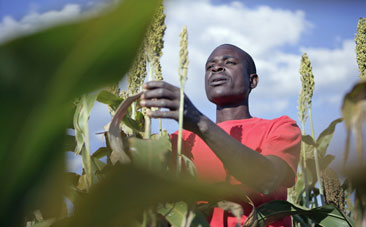 Land reform: progress, challenges