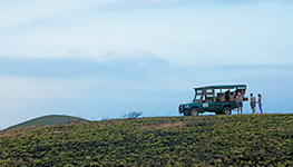 fdi increase  foreign direct investment, south africa