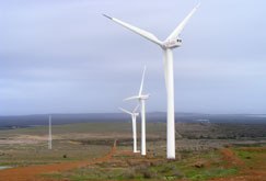 South Africa's Darling Wind Farm