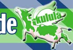 No-frills airline kulula.com is SA's biggest online retailer SAA, kulula.com, carrier, airlines, transport