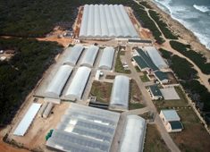 Sea Ark prawn hatchery at Coega IDZ 