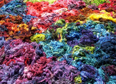 Mohair 