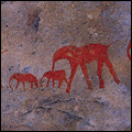 San rock paintings in Bushmanskloof, Cederberg region, Western Cape