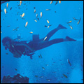 Sodwana, scuba heaven