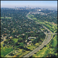 Johannesburg, Gauteng: the largest man-made forest in the world