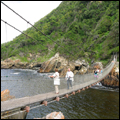 Suspension bridge over the Storms River: Tsitsikamma National Park