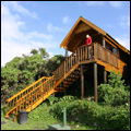 Forest cabin: Tsitsikamma National Park