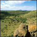 Landscape: Mountain Zebra National Park