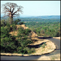 Road to Pafuri: Kruger National Park