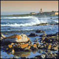 Agulhas National Park