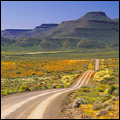 Near Calvinia in the Northern Cape