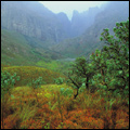 Du Toits Kloof, Western Cape