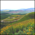 Long Tom Pass in Mpumalanga