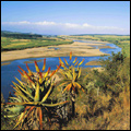 Lower Tugela River in KwaZulu-Natal