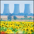Sasolburg, Free State: cosmos, sunflowers and industrial cooling towers