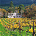 Buitenverwachting wine estate, Western Cape