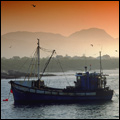Early morning in Hermanus, Western Cape